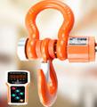 Крановые весы 10 тонн от производителя