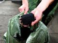Резиновая крошка для напольного покрытия