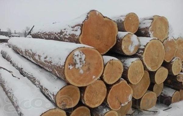Деловой лес кругляк хвойный самовывоз или доставка