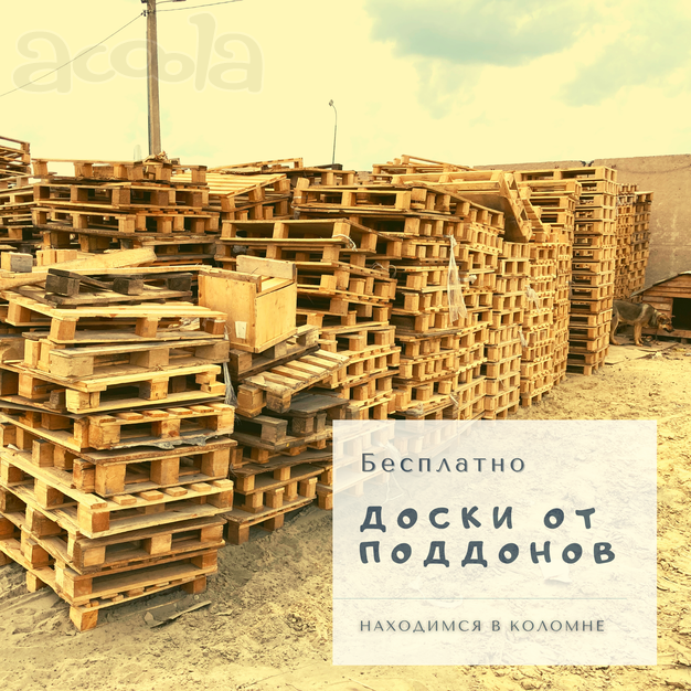 Отдам бесплатно доски от поддонов и поддоны